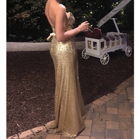 ANA SOPHIA gown - Picture 2 of 3